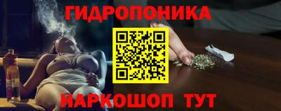 a pvp Свободный